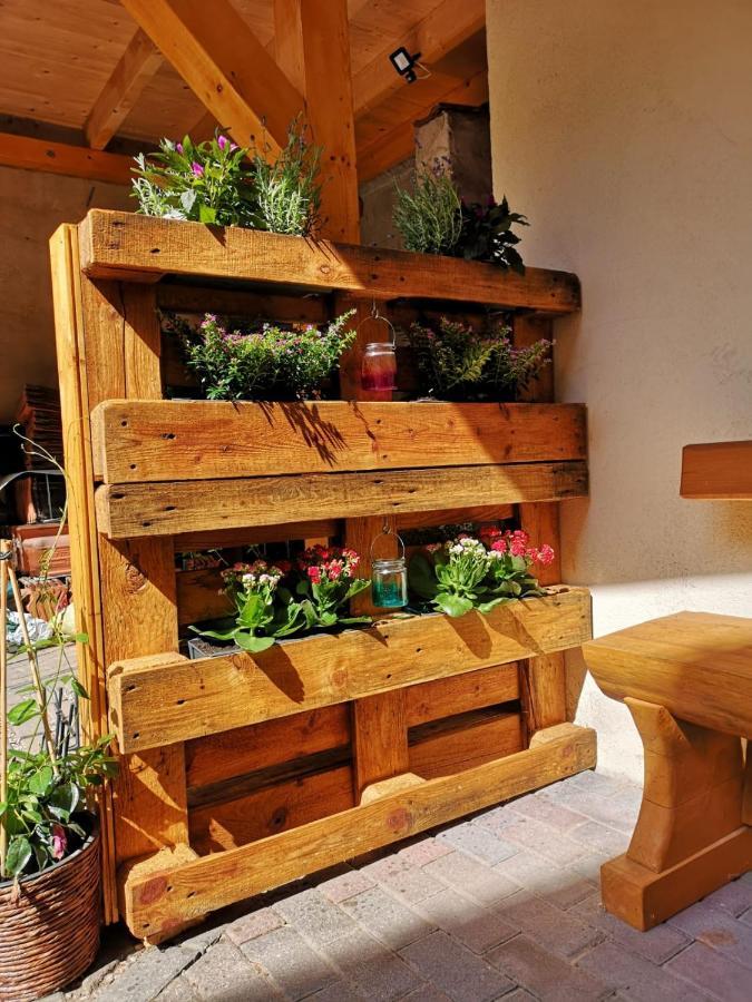 Gemuetliche Ferienwohnung Torgau Buitenkant foto